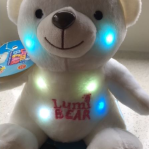 Lumi bear switch-adapted toy